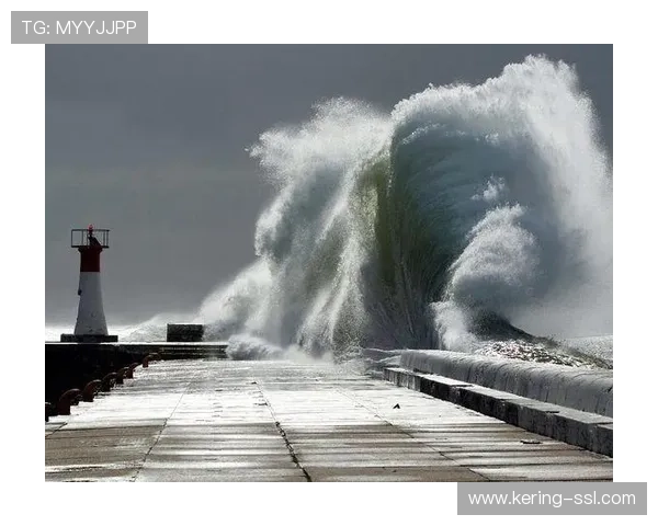德甲赛程调整应对极端天气，场馆应急方案升级